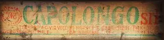 a picture of the side of one of the old wooden fruit boxes, showing the name "Capolongo" in green
