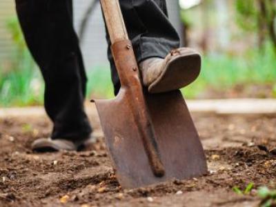 allotment spade