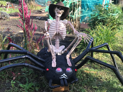 skeleton riding a spider