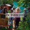 people on the bee plot during 2019 open day