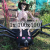 skeleton riding a spider